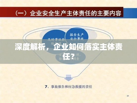 深度解析,企业如何落实主体责任?