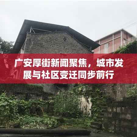 广安厚街新闻聚焦，城市发展与社区变迁同步前行
