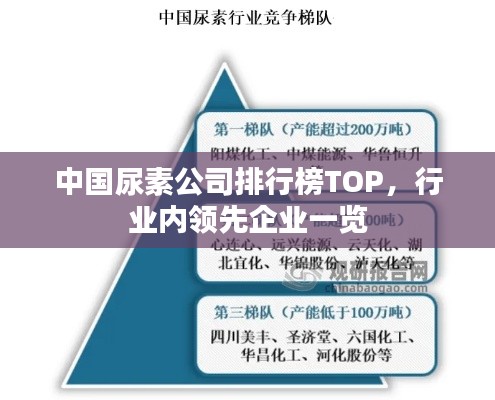 中国尿素公司排行榜TOP，行业内领先企业一览