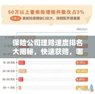 保险公司理赔速度排名大揭秘,快速获赔,哪家公司最给力?