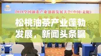 松桃油茶产业蓬勃发展，新闻头条瞩目关注，产业前景广阔