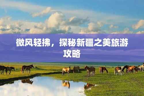 微风轻拂，探秘新疆之美旅游攻略