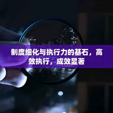 制度细化与执行力的基石,高效执行,成效显著