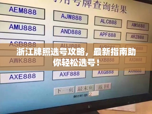 浙江牌照选号攻略，最新指南助你轻松选号！