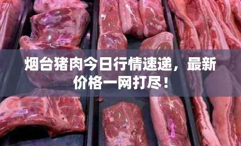 烟台猪肉今日行情速递，最新价格一网打尽！