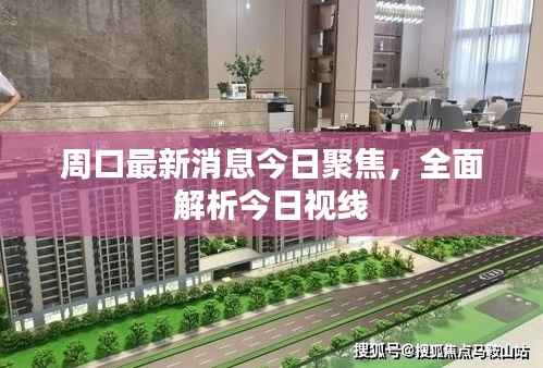 周口最新消息今日聚焦，全面解析今日视线