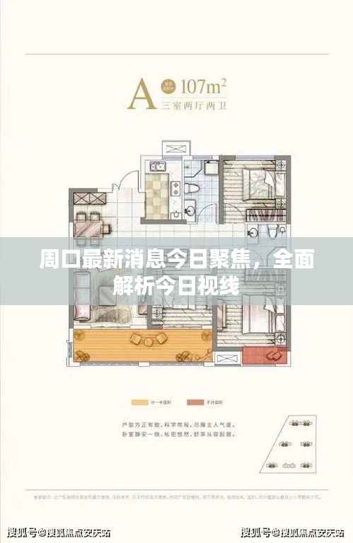 周口最新消息今日聚焦,全面解析今日视线