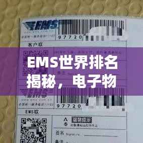 EMS世界排名揭秘，电子物流领域的全球格局探究