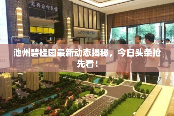 池州碧桂园最新动态揭秘，今日头条抢先看！