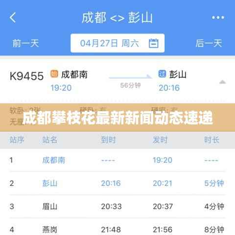 成都攀枝花最新新闻动态速递