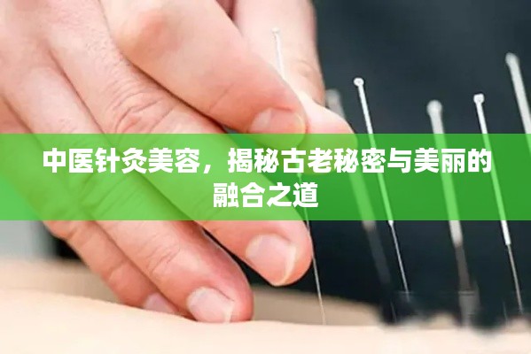 中医针灸美容，揭秘古老秘密与美丽的融合之道