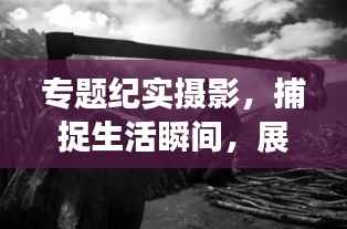 专题纪实摄影,捕捉生活瞬间,展现艺术力量