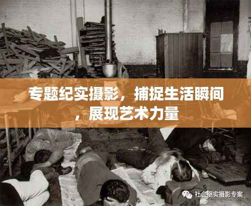 专题纪实摄影,捕捉生活瞬间,展现艺术力量
