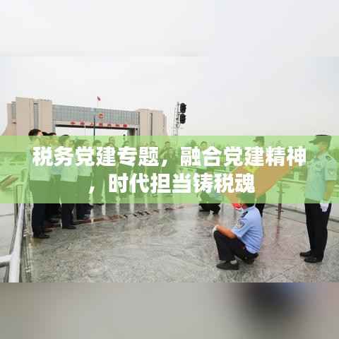 税务党建专题，融合党建精神，时代担当铸税魂