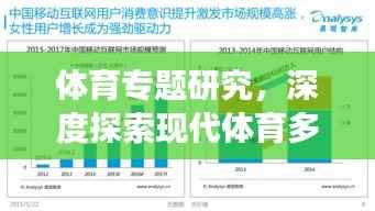 体育专题研究,深度探索现代体育多元维度发展