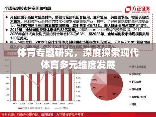 体育专题研究,深度探索现代体育多元维度发展