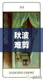 秋波难剪，情丝缠绕