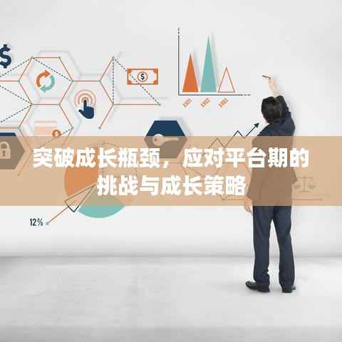 突破成长瓶颈，应对平台期的挑战与成长策略