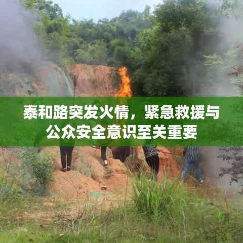 泰和路突发火情,紧急救援与公众安全意识至关重要