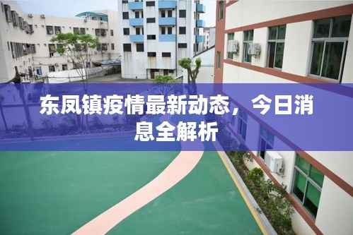 一花独放 第4页