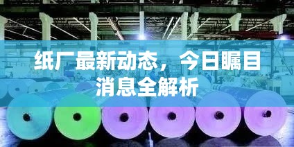 富贵逼人 第4页