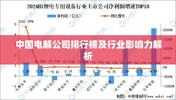 中国电解公司排行榜及行业影响力解析