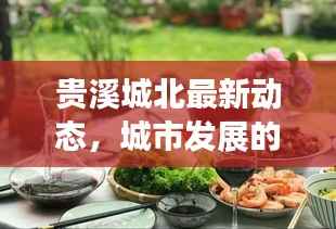 贵溪城北最新动态，城市发展的亮点与动向速递