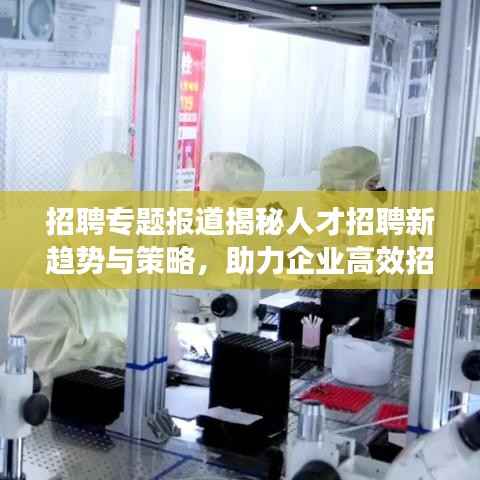 招聘专题报道揭秘人才招聘新趋势与策略，助力企业高效招聘！