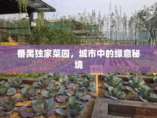 番禺独家菜园，城市中的绿意秘境