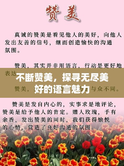 不断赞美，探寻无尽美好的语言魅力