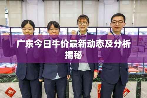 广东今日牛价最新动态及分析揭秘