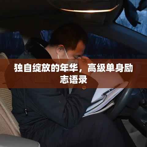 独自绽放的年华，高级单身励志语录