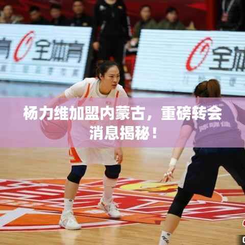 杨力维加盟内蒙古，重磅转会消息揭秘！