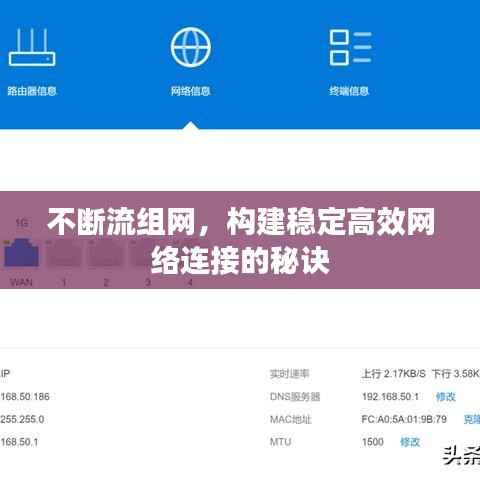 不断流组网,构建稳定高效网络连接的秘诀