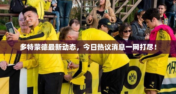多特蒙德最新动态，今日热议消息一网打尽！