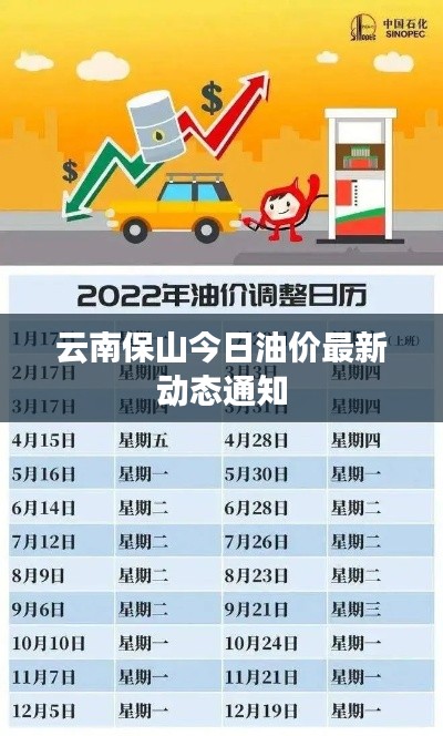 云南保山今日油价最新动态通知