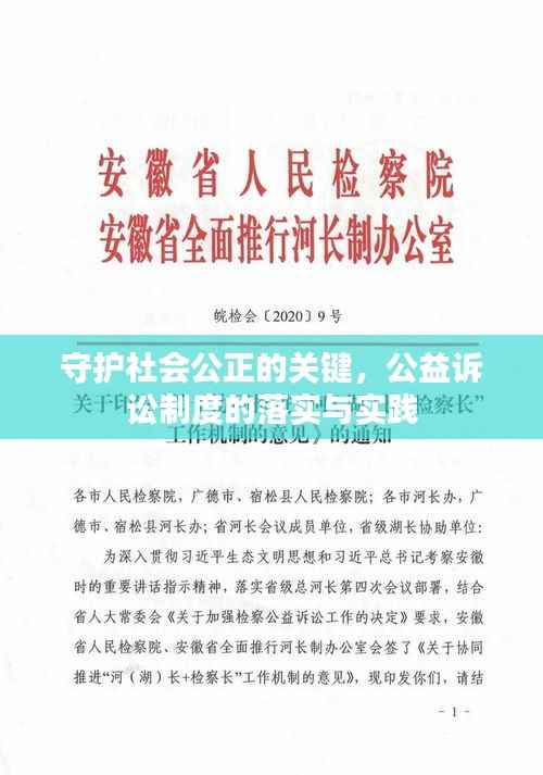 守护社会公正的关键,公益诉讼制度的落实与实践