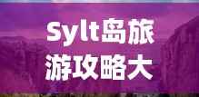 Sylt岛旅游攻略大全，探索绝美风光与独特体验