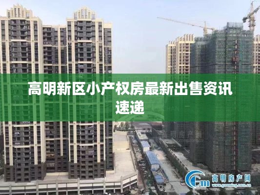 高明新区小产权房最新出售资讯速递