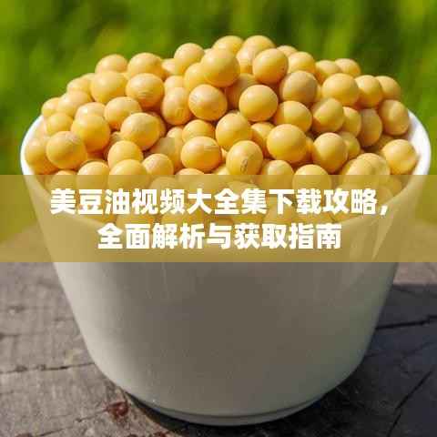 美豆油视频大全集下载攻略,全面解析与获取指南