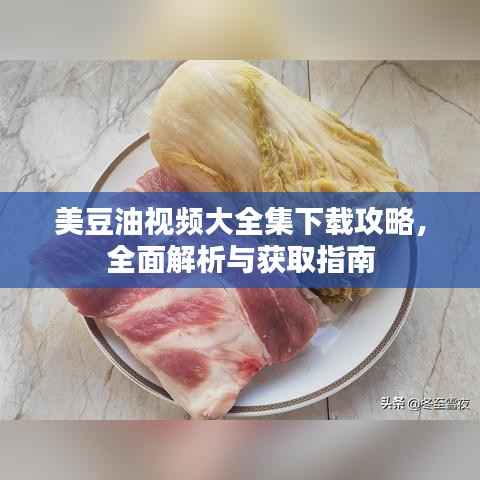 美豆油视频大全集下载攻略,全面解析与获取指南