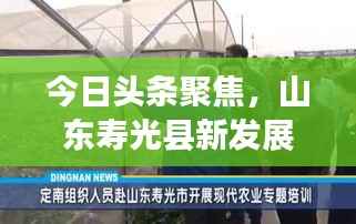 今日头条聚焦，山东寿光县新发展动态揭秘