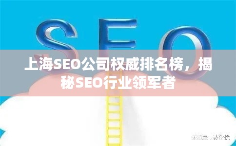 上海SEO公司权威排名榜，揭秘SEO行业领军者