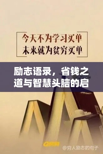 励志语录,省钱之道与智慧头脑的启示