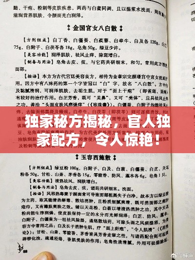 独家秘方揭秘，官人独家配方，令人惊艳！