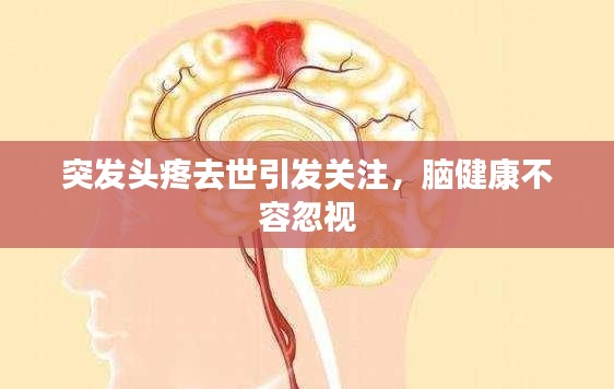 突发头疼去世引发关注，脑健康不容忽视