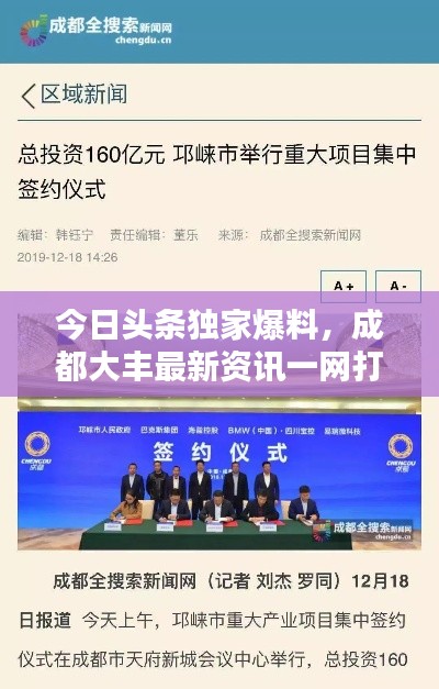 今日头条独家爆料，成都大丰最新资讯一网打尽