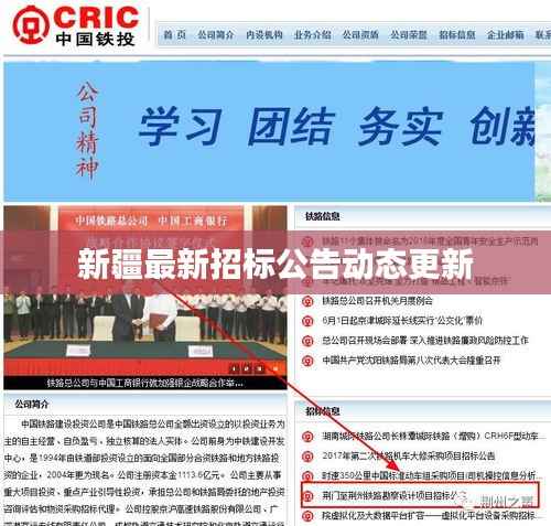 新疆最新招标公告动态更新