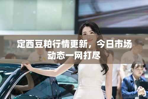 定西豆粕行情更新，今日市场动态一网打尽