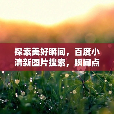 探索美好瞬间，百度小清新图片搜索，瞬间点亮你的视觉世界